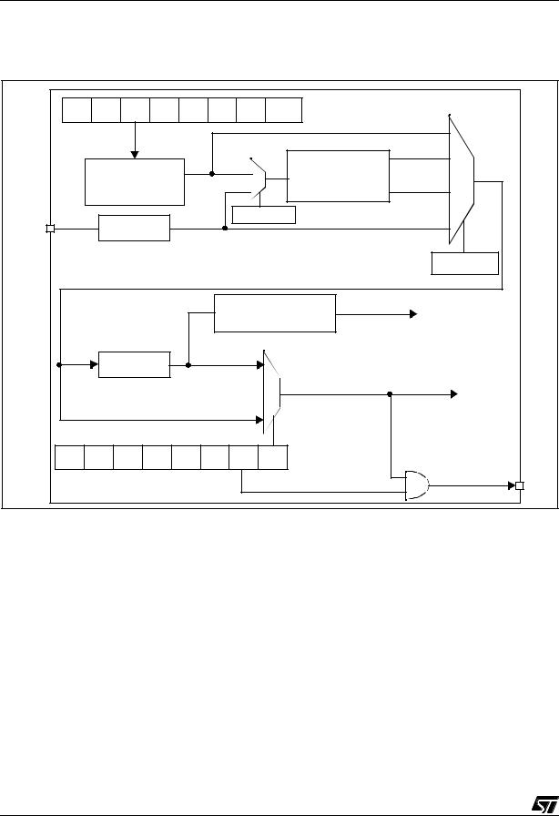 ST ST7LITES2Y0, ST7LITES5Y0, ST7LITE02Y0, ST7LITE05Y0, ST7LITE09Y0 User Manual