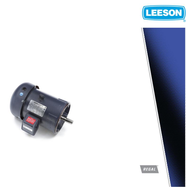 Leeson 199085.00 Product Information Packet