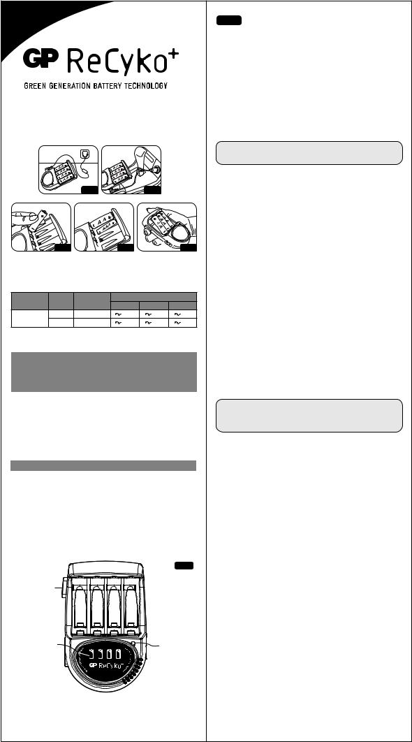 GP Batteries ReCyco User guide