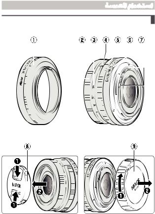 Nikon NIKKOR Z DX 16-50mm f/3.5-6.3 VR user's Guide