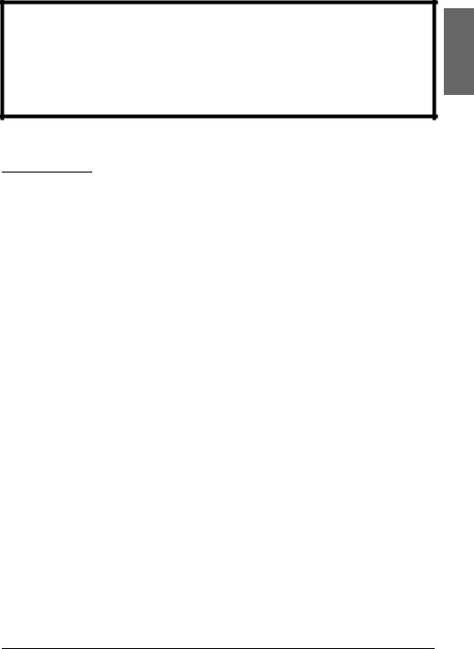 Epson OI-R07 User's Manual