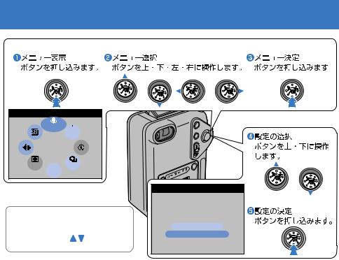 Fujifilm FinePix F601 User Manual