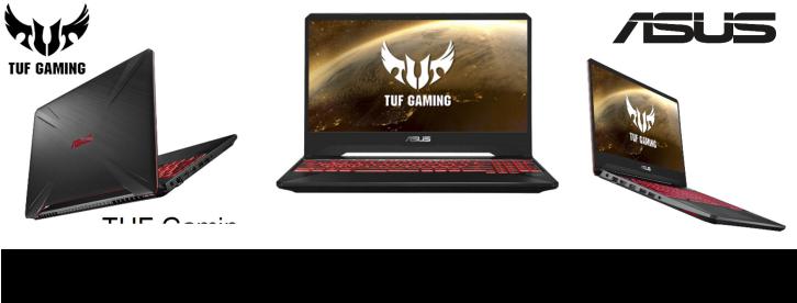 Asus FX505DY-BQ166T Technical data