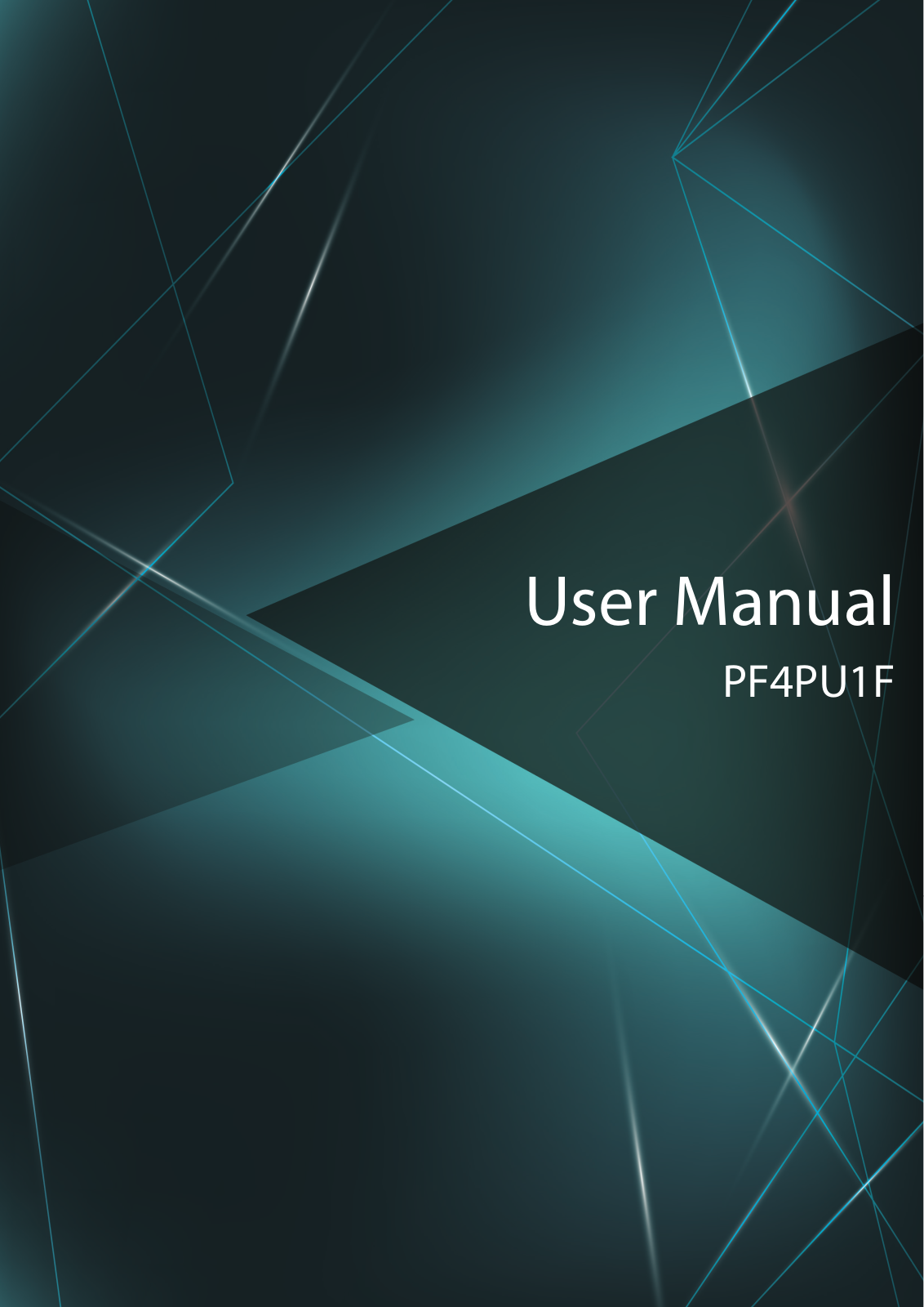 TONGFANG 3168NG Users Manual