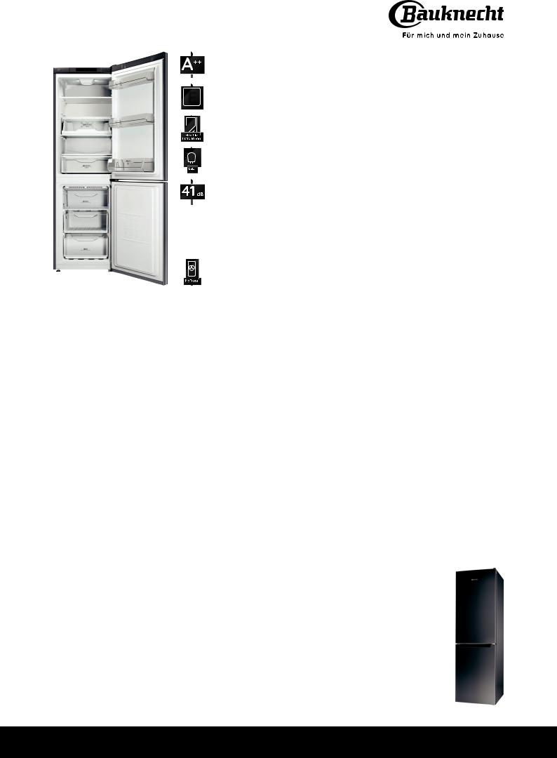 Bauknecht KGN 389 A++ IN User Manual