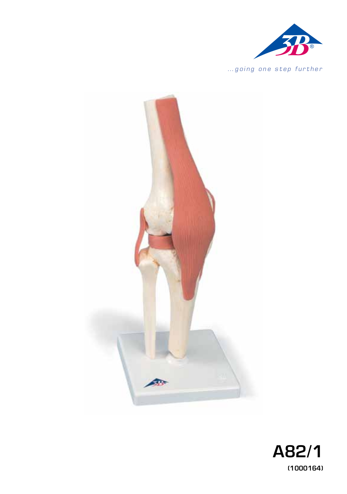 3B Scientific Deluxe Functional Knee User Manual