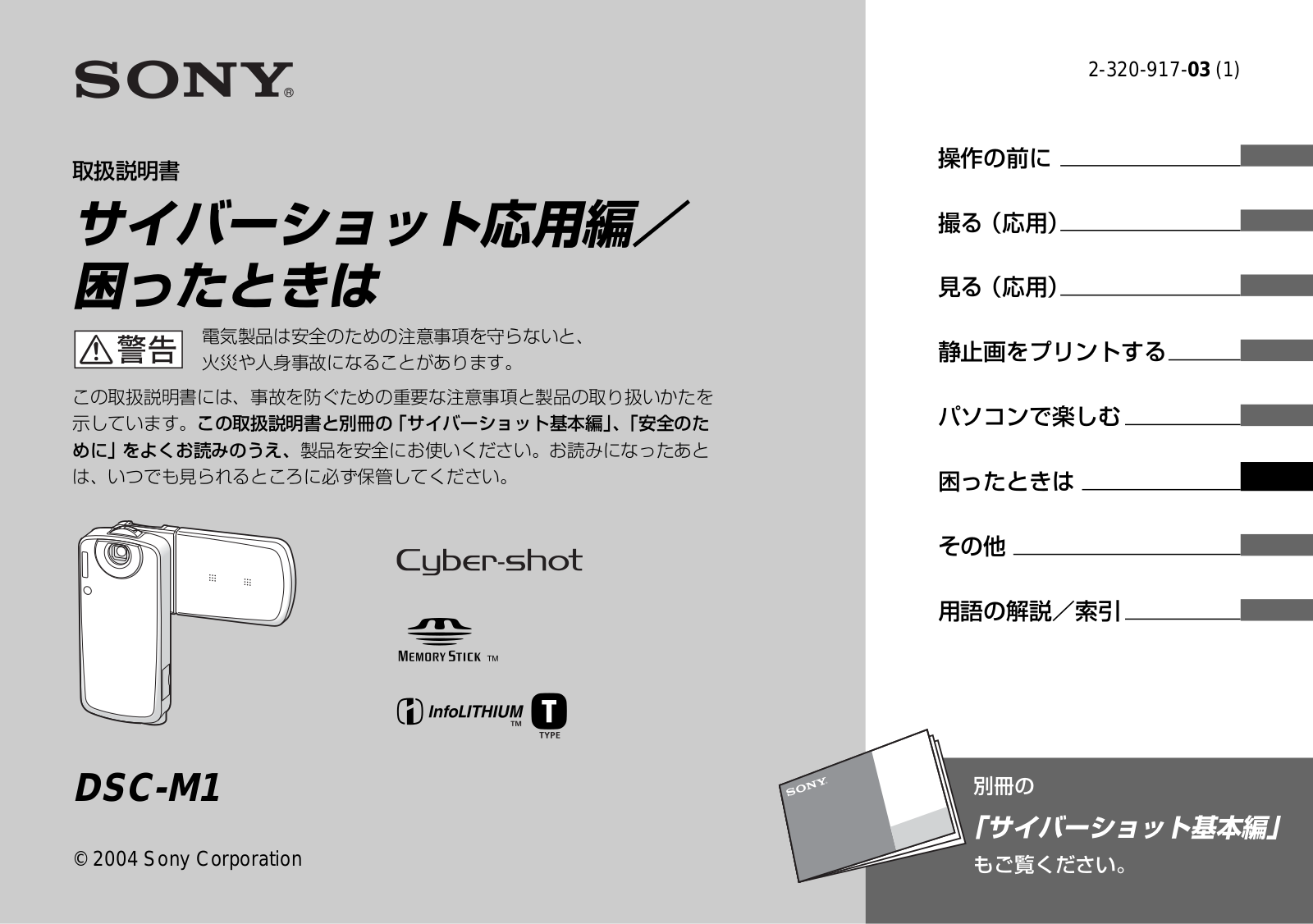 Sony CYBER-SHOT DSC-M1 User Manual