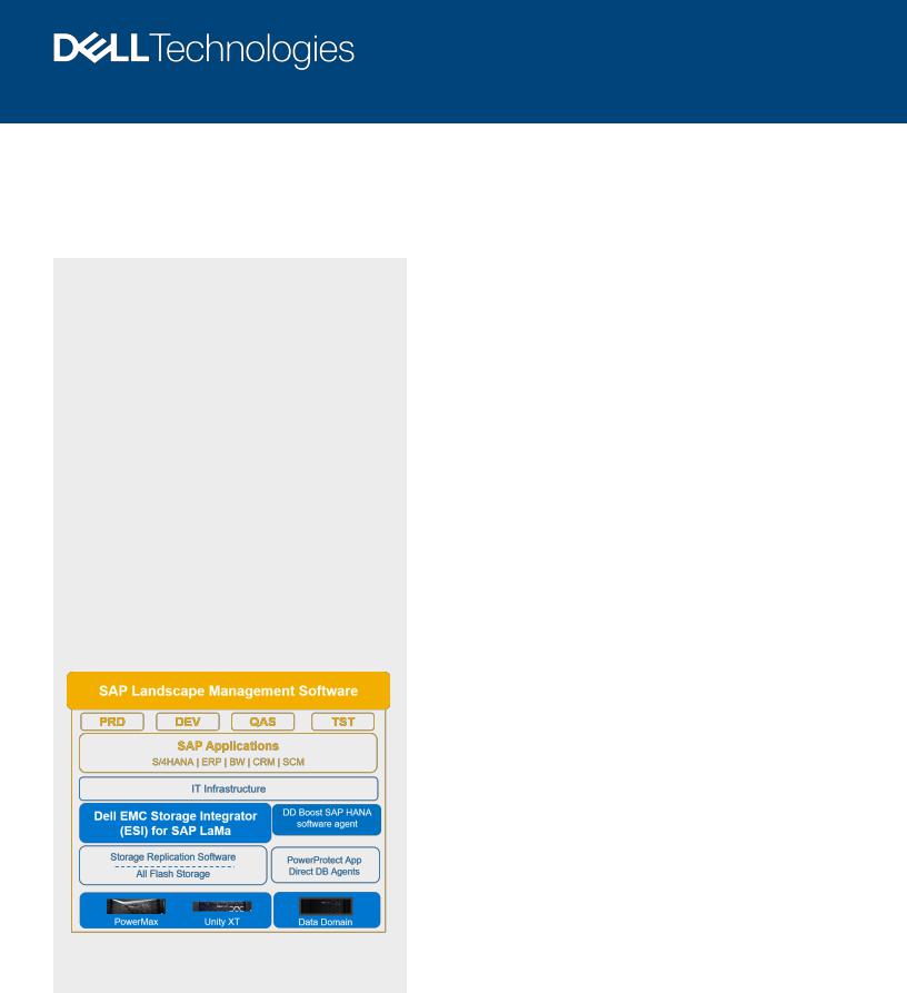 Dell SAP LAMA User Manual