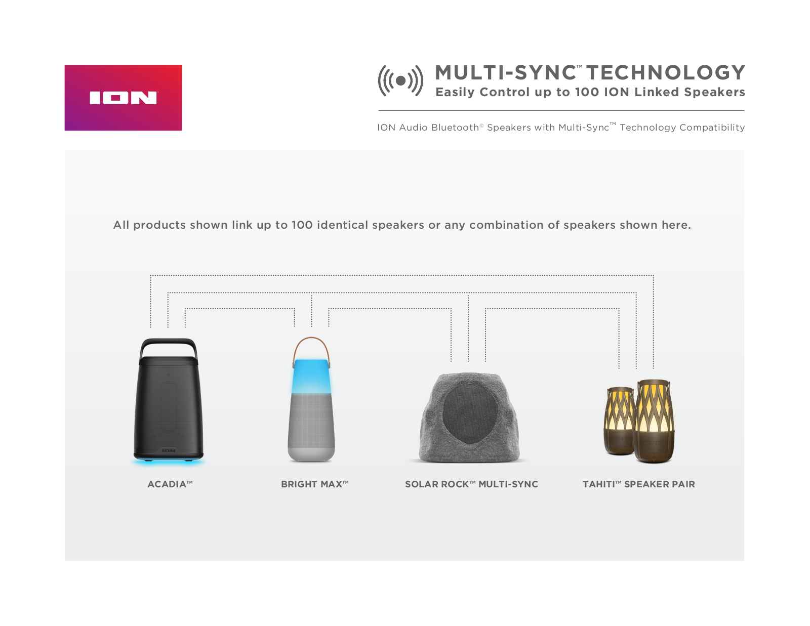 ION MULTI-SYNC User Manual