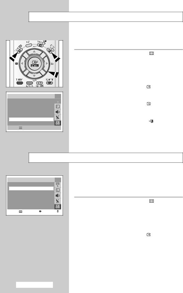 Samsung CS-2981HE User Manual