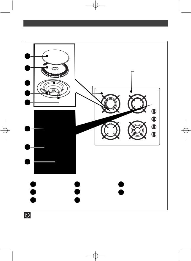 BRANDT TG612WS1 User Manual