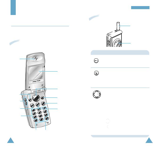 Samsung SCHA301 Users Manual