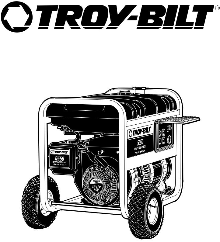 Briggs & Stratton TROY-BILT 1919 User Manual