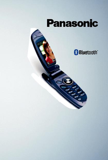 PANASONIC EB-P341I User Manual