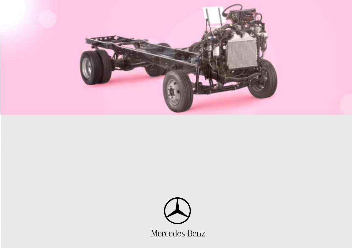 Mercedes Benz LO712 Diagram