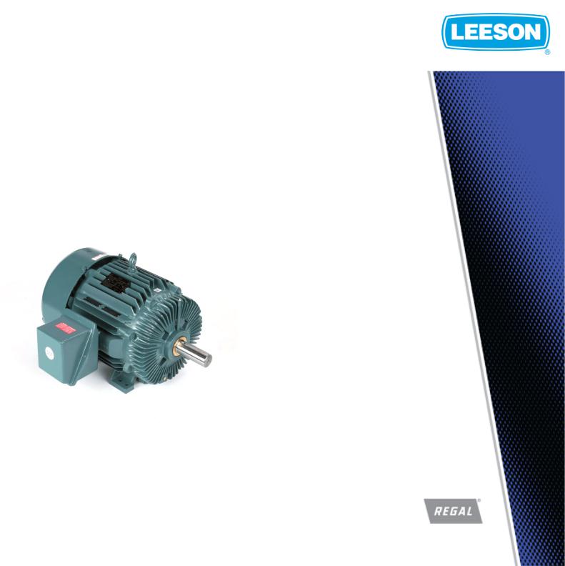 Leeson 811664.00 Product Information Packet