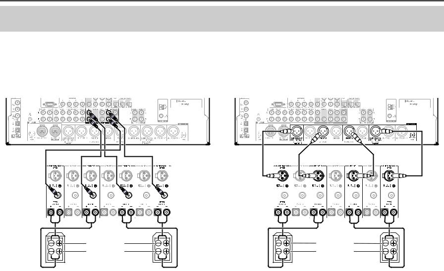 Integra DHC-60.5 Owner's Manual