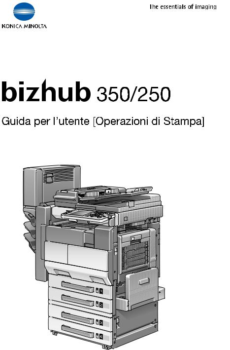 Konica minolta BIZHUB 250, BIZHUB 350 User Manual