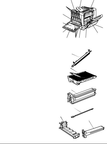 Konica Minolta MAGICOLOR 5570, MAGICOLOR 5550 User Manual