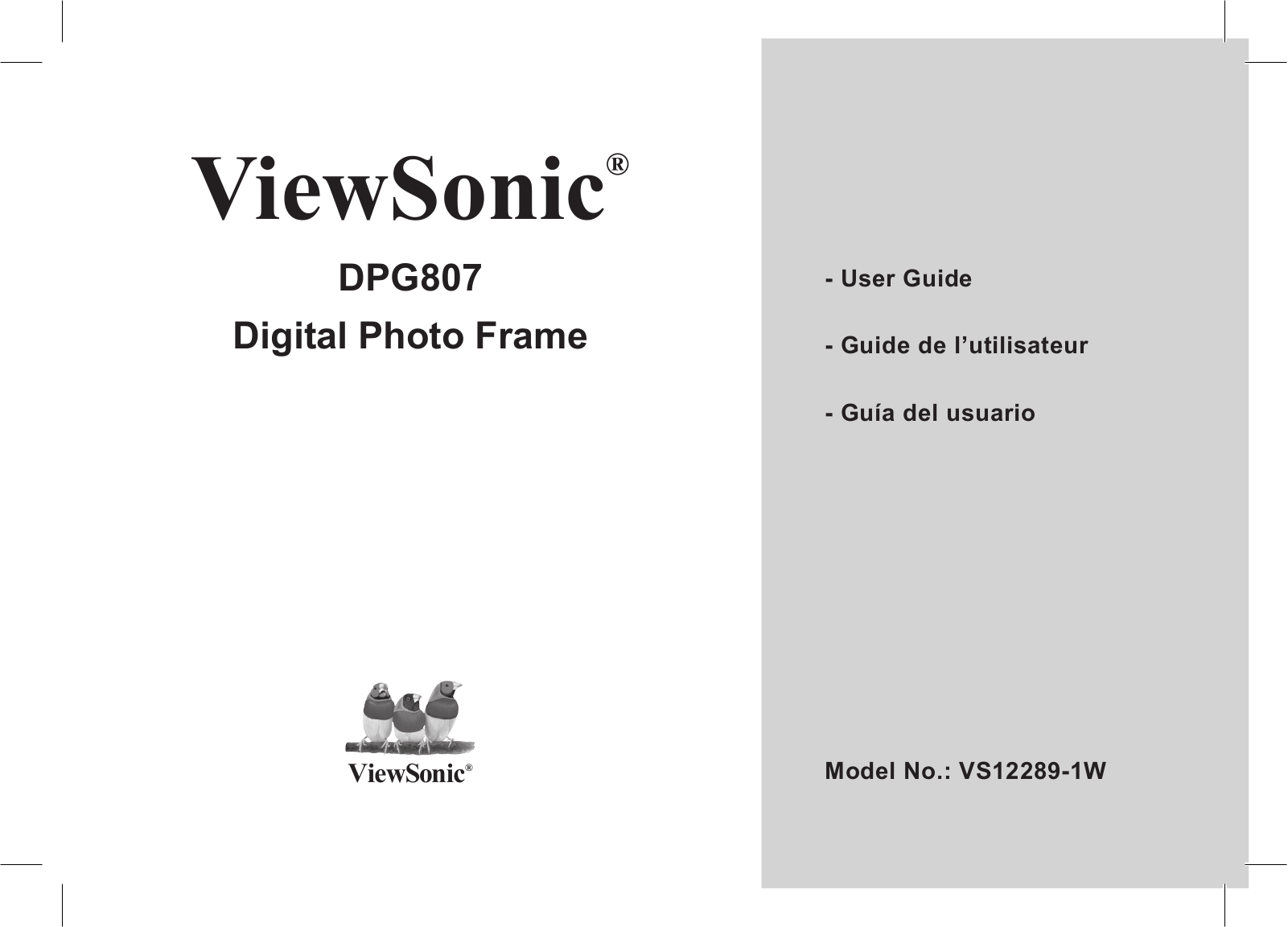 Viewsonic DPG807BK User Manual