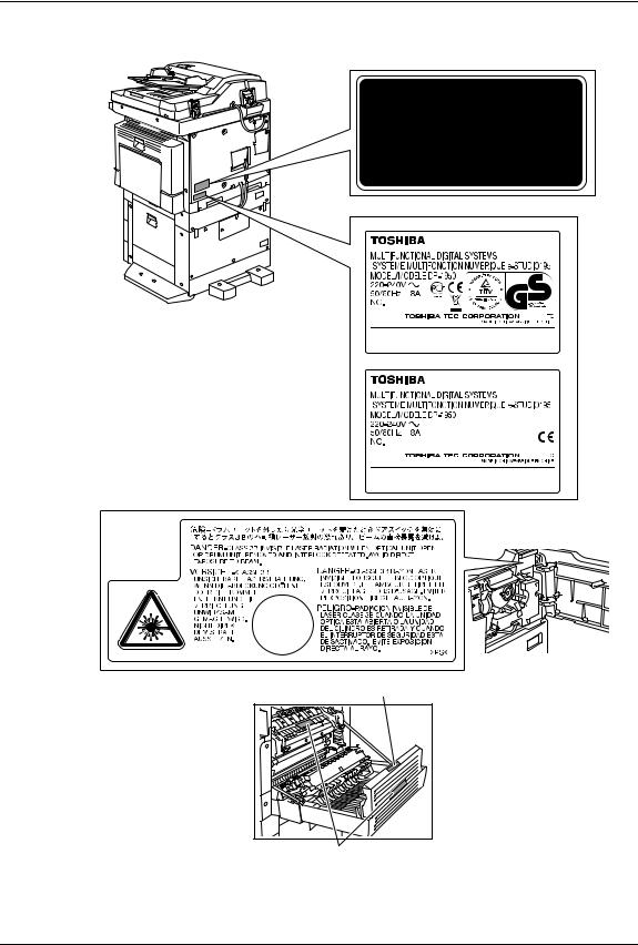 Toshiba 225, 245, 195 User Manual