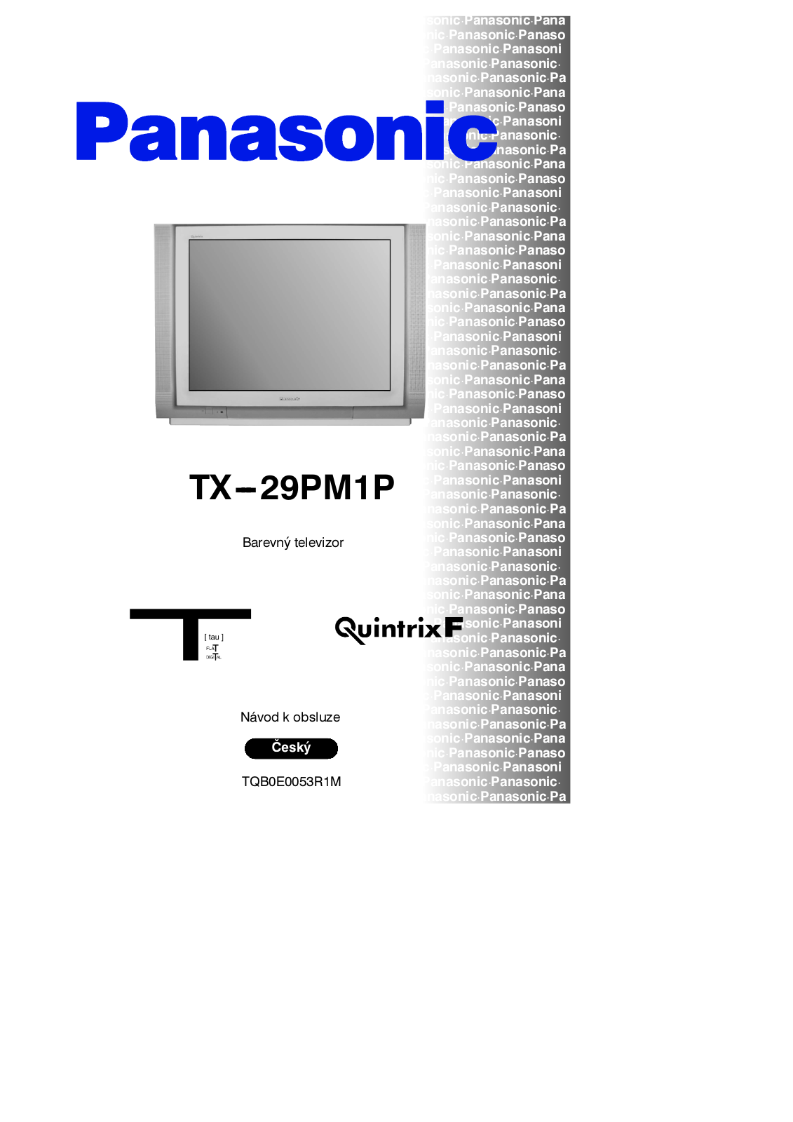 PANASONIC TX-29PM1P User Manual