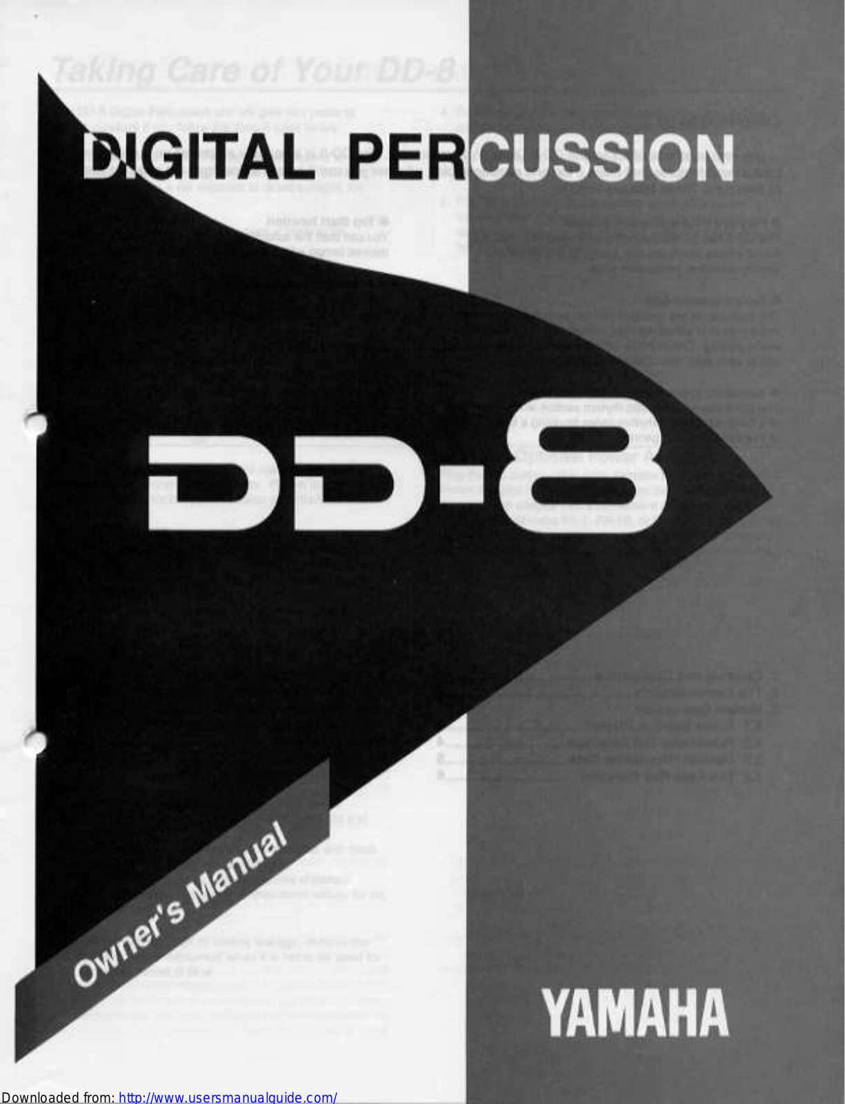 Yamaha Audio DD-8 User Manual