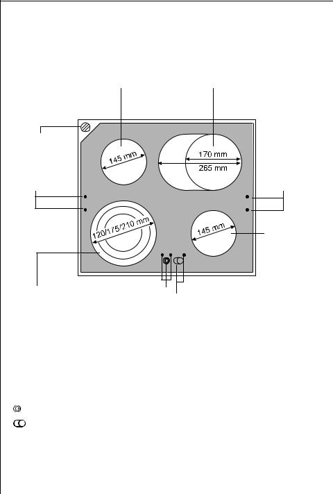 AEG-Electrolux 61300M-WR User Manual