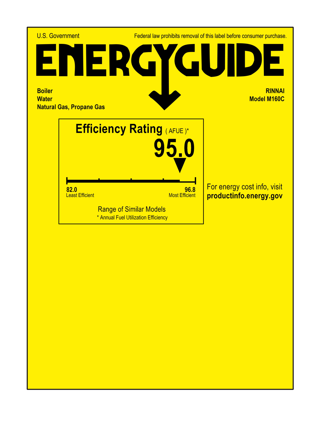 Rinnai M160C User Manual