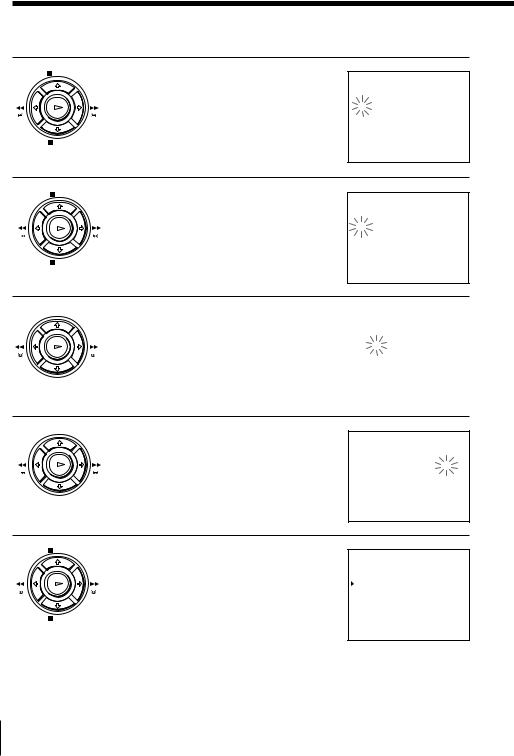 Sony SLV-E530VC User Manual