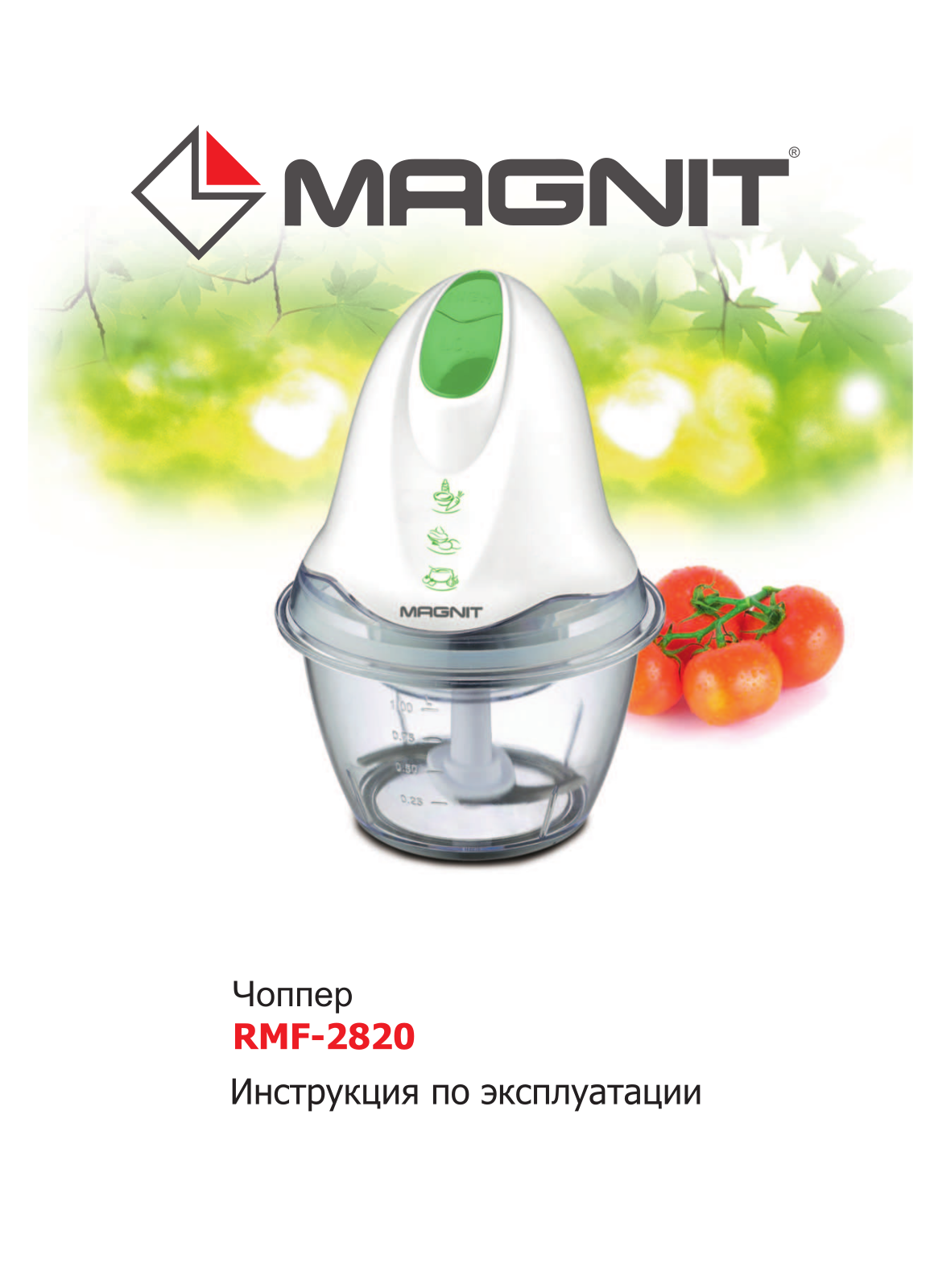 MAGNIT RMF-2820 User Manual