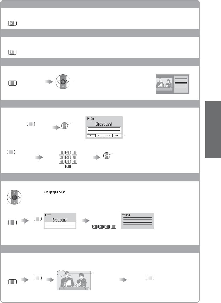 Panasonic TXL22X20L Operating Instructions