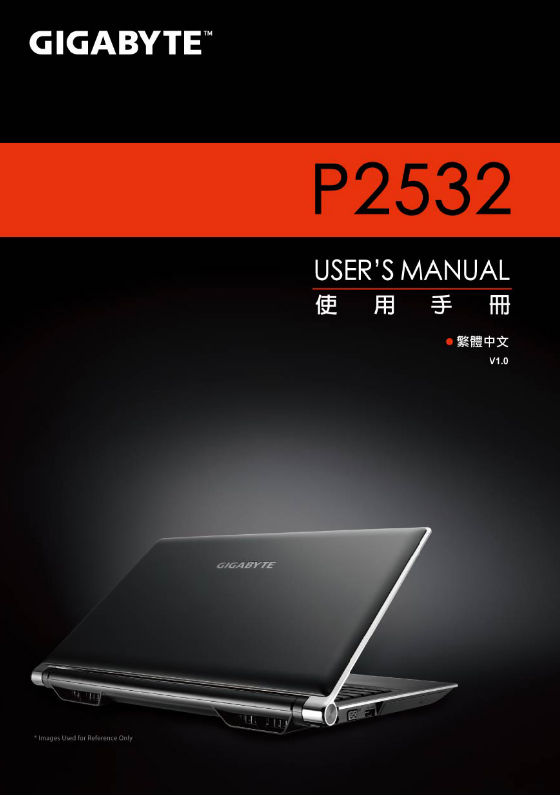 Gigabyte P2532N User Manual