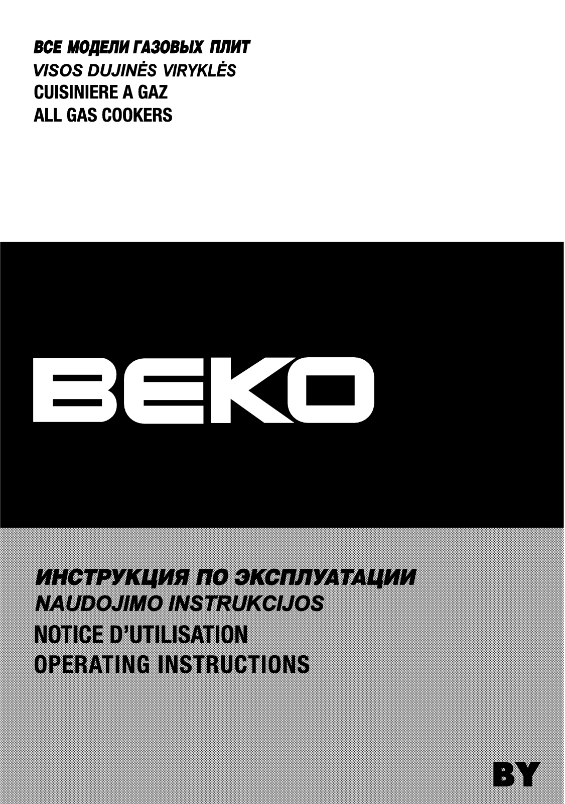 Beko CG 42011 G User Manual