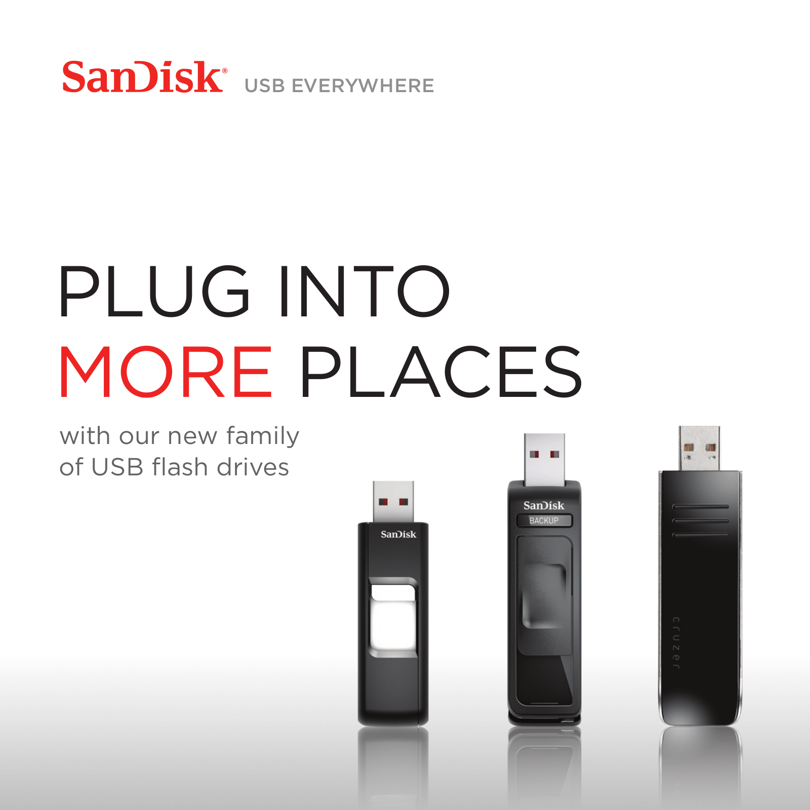 SanDisk 80-11-01663 User Manual