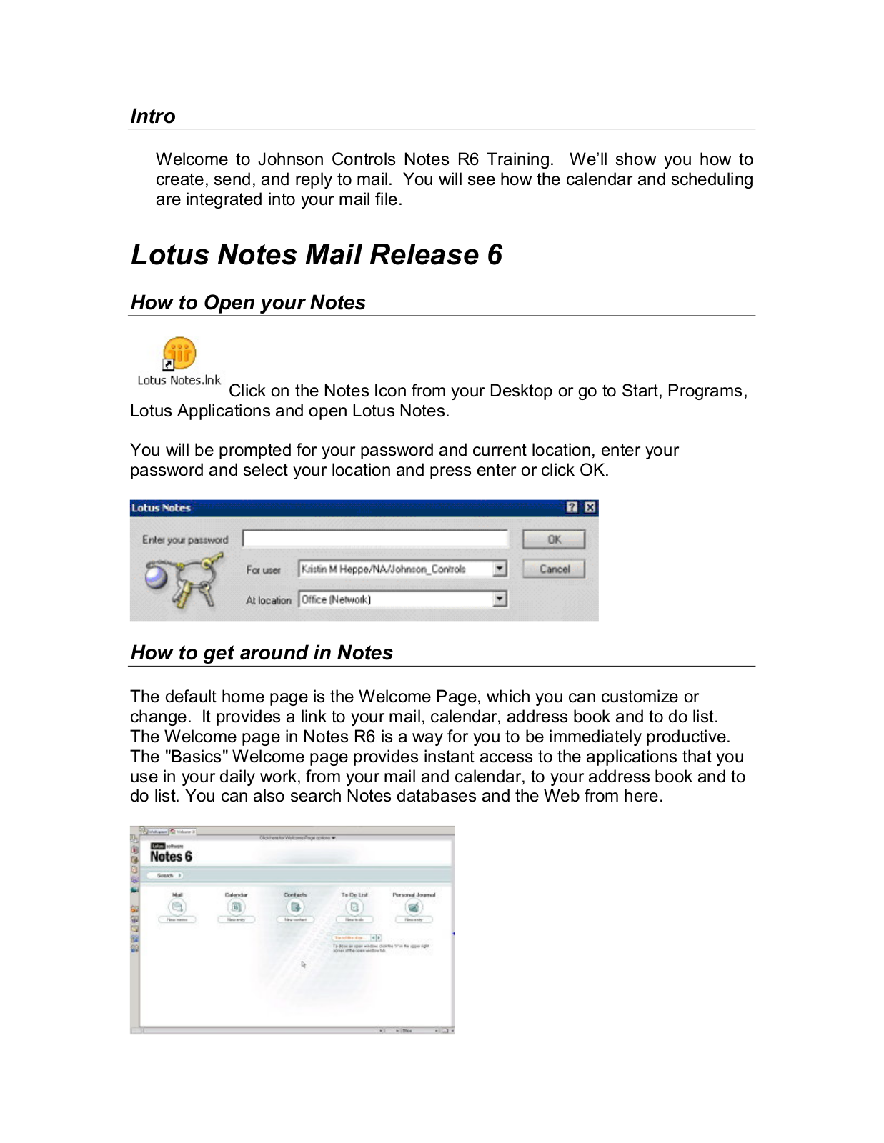 Ibm LOTUS NOTES MAIL RELEASE 6 User Manual