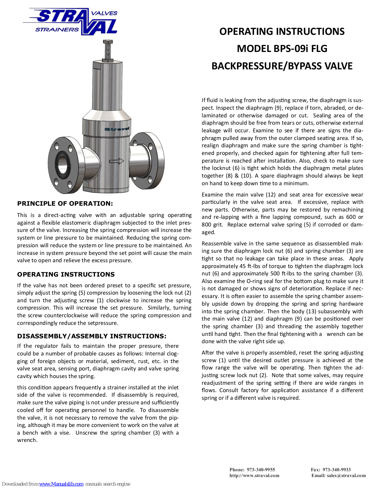 Straval BPS-09i FLG Operating Instructions Manual - ManualMachine.com