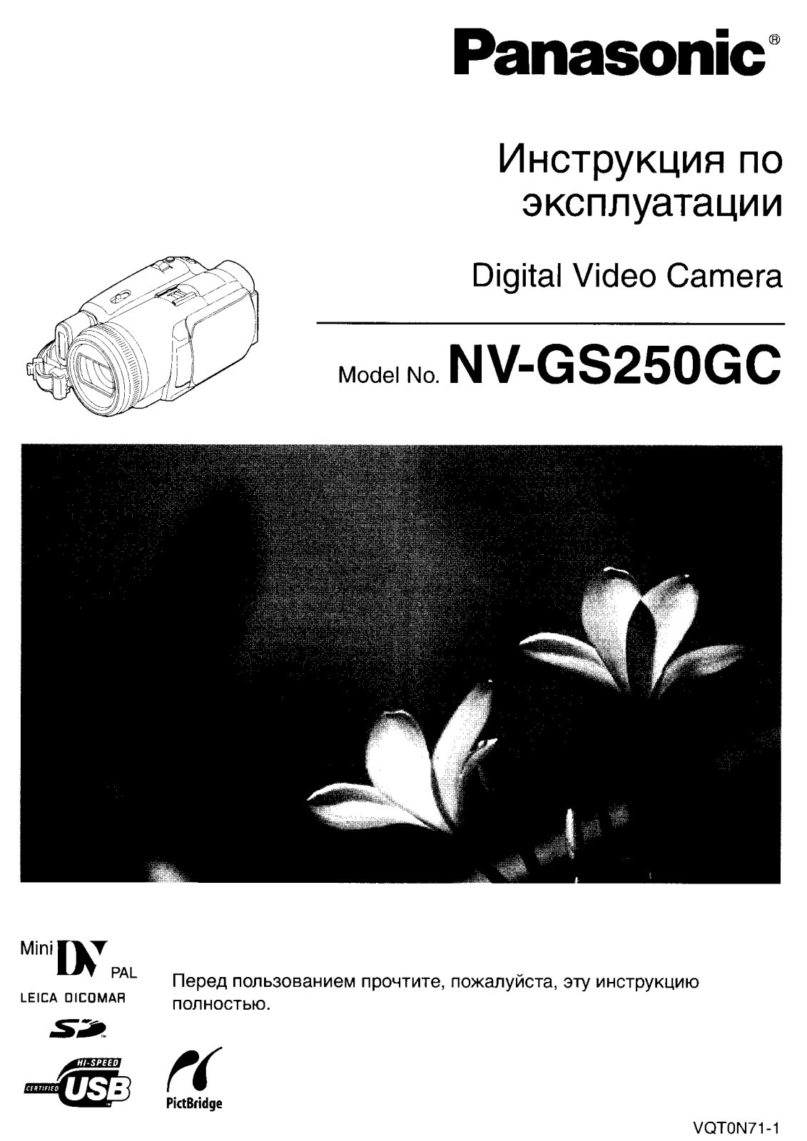 Panasonic NV-GS250GC User Manual