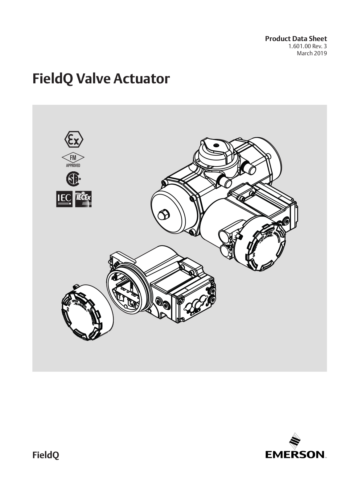 Emerson FieldQ Series, FieldQ Q65, FieldQ Q200, FieldQ Q40, FieldQ Q350 Product Data Sheet