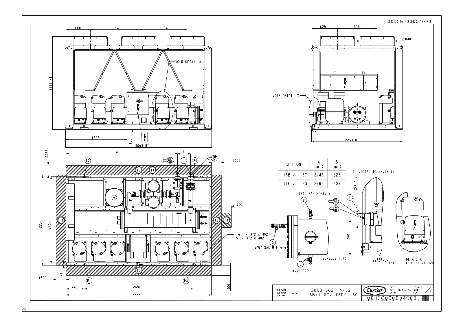 Carrier 00DCG000004000 User Manual