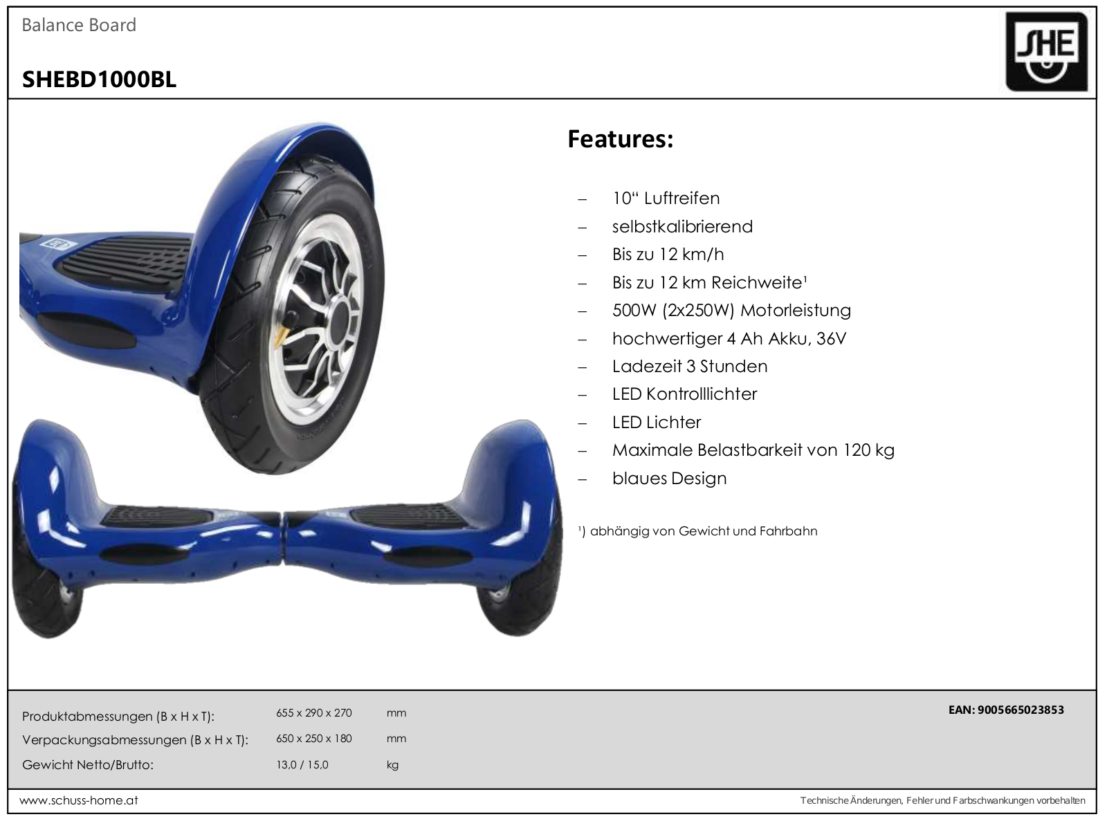 Schuss Home Electronic BD1000 User Manual