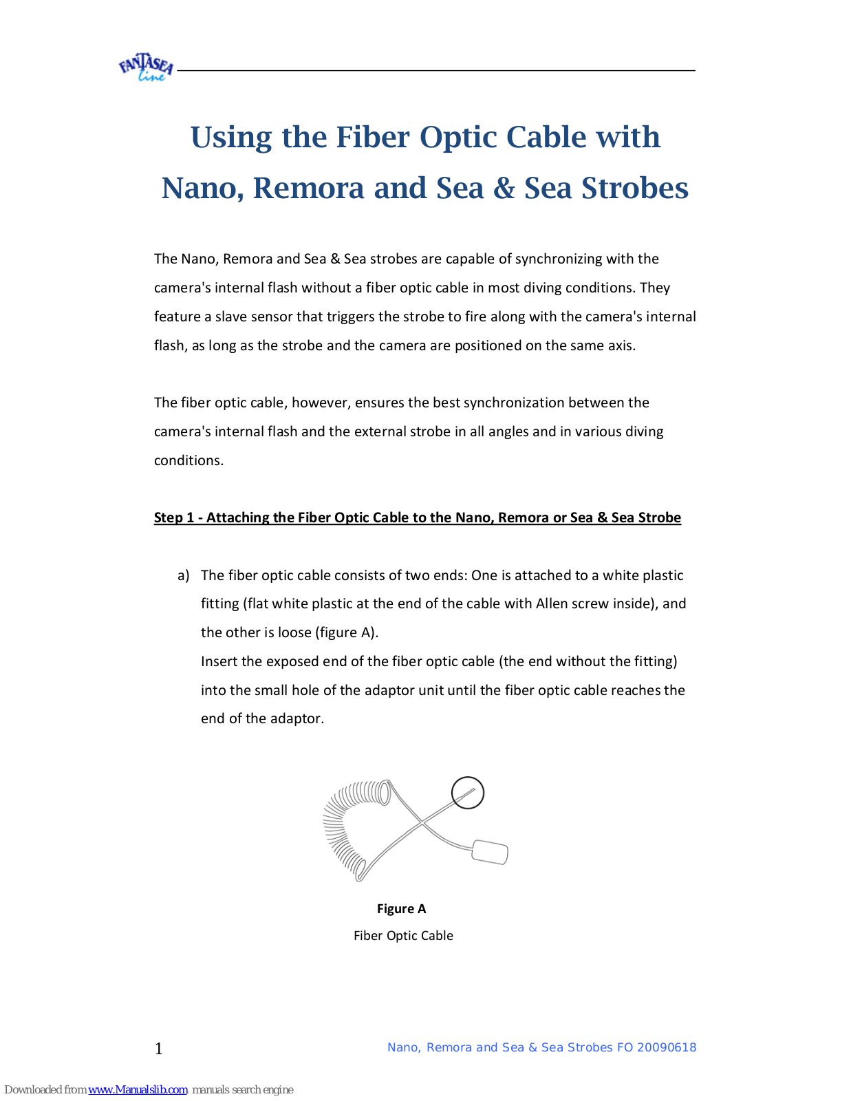 Fantasea Fiber Optic Cable, Nano, Remora, Sea & Sea Strobes Using Manual