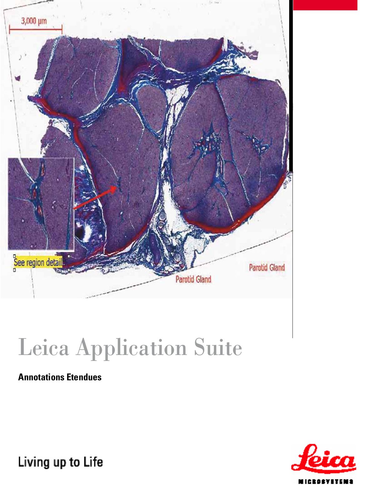 LEICA APPLICATION SUITE EXTENDED User Manual