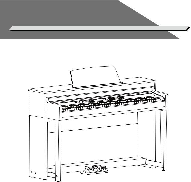 Medeli Dp-460k Owner’s Manual