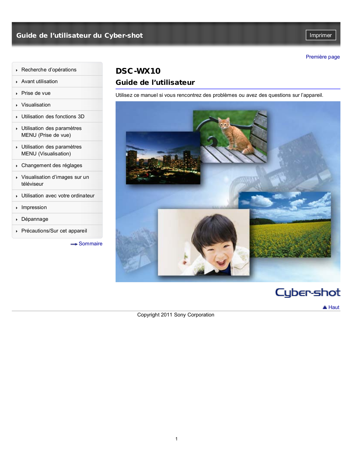 Sony DSC-WX10 Users guide