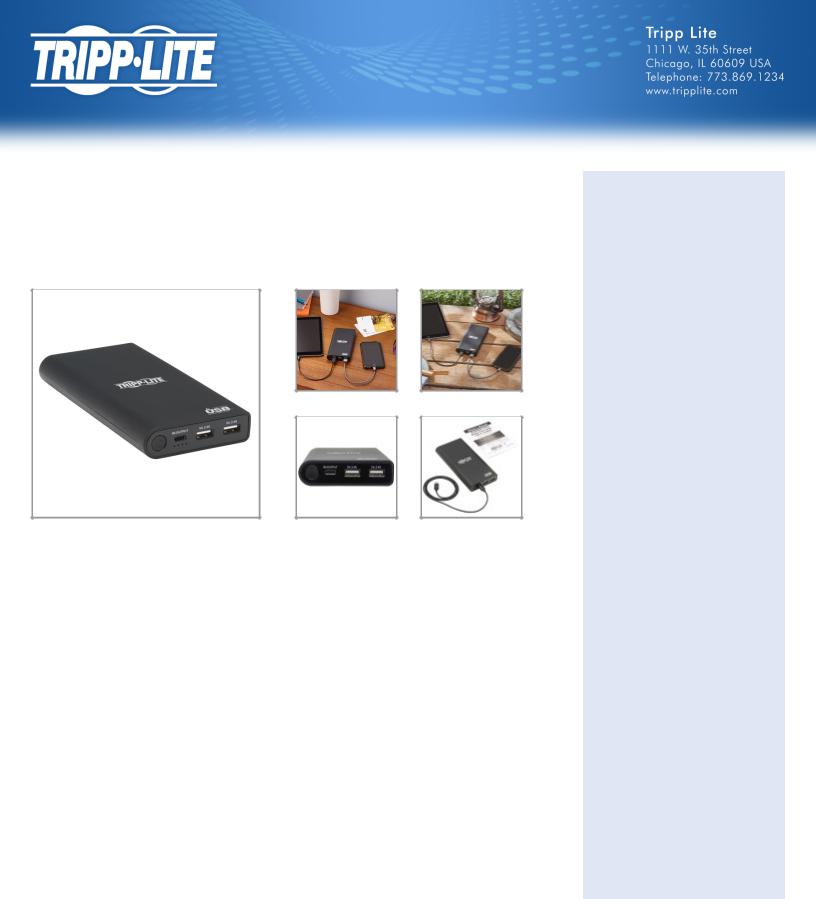 Tripp Lite UPB-20K0-2U1C User Manual