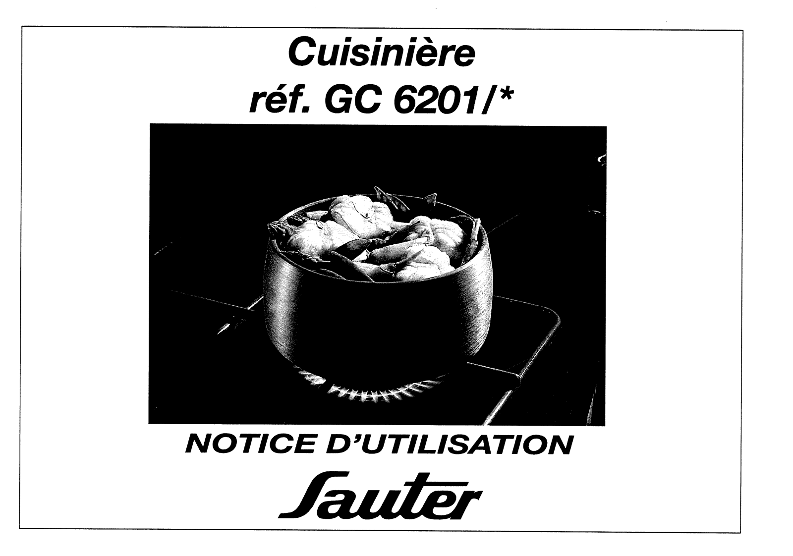 Sauter GC6201 User Manual