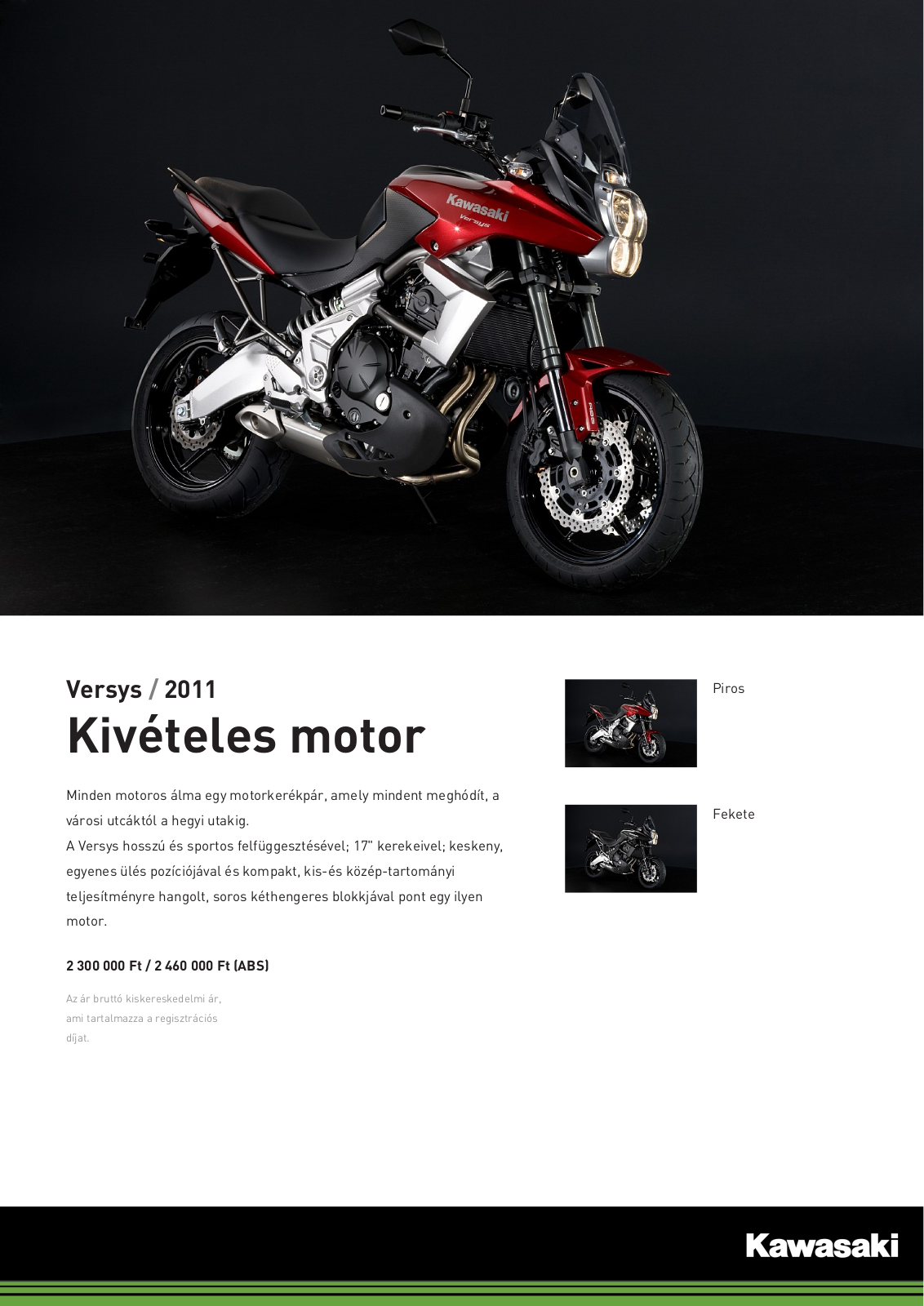 Kawasaki VERSYS Brochure