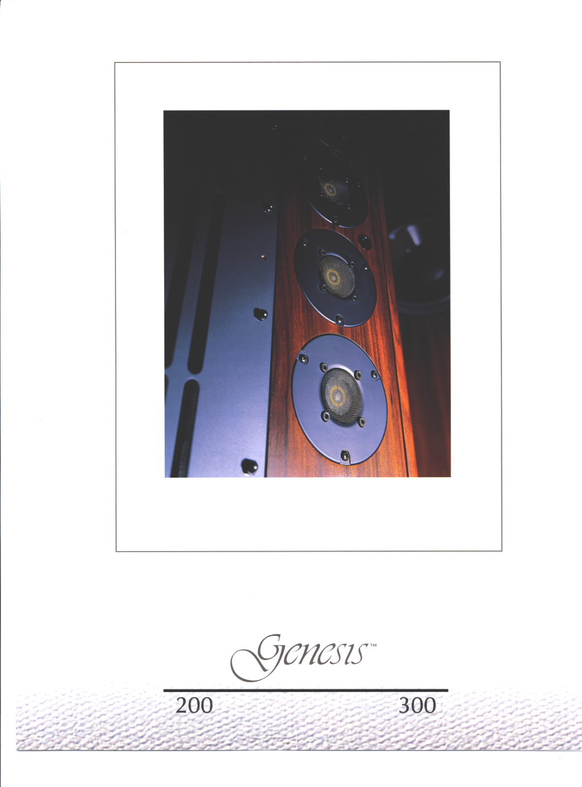 Genesis 300 Brochure - ManualMachine.com