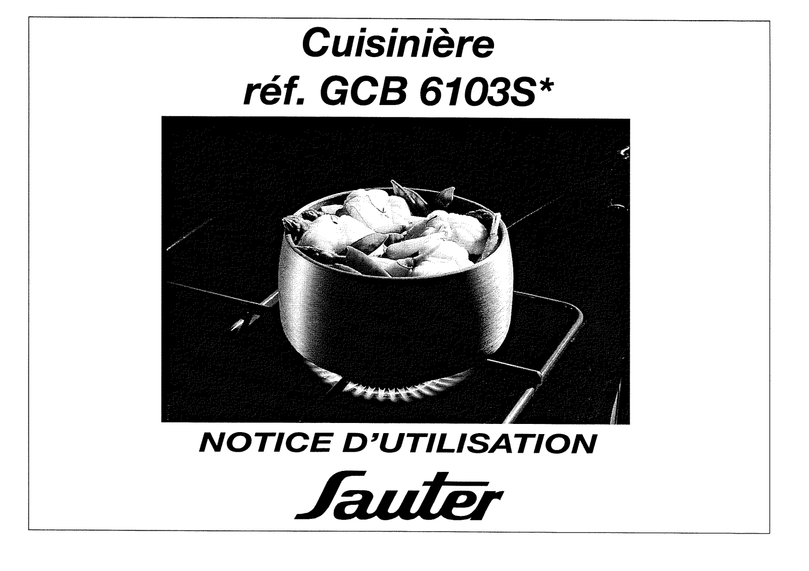 Sauter GCB6103S User Manual